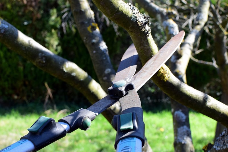 Illusionary pruning