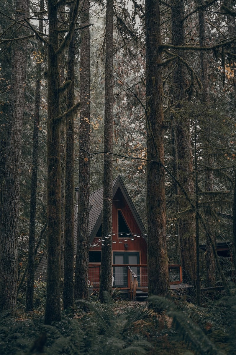Tranquil Woodland Retreats