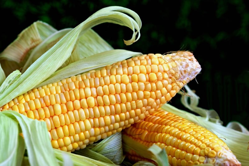 Unicorn Corn