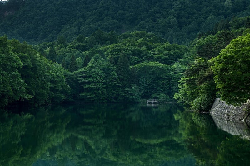Fantasy landscape with mountains and forest