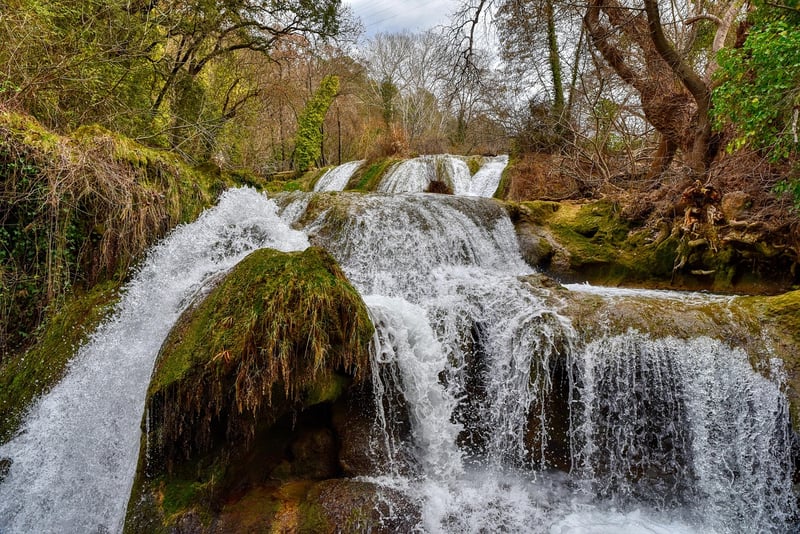 Waterfall pond landscape
